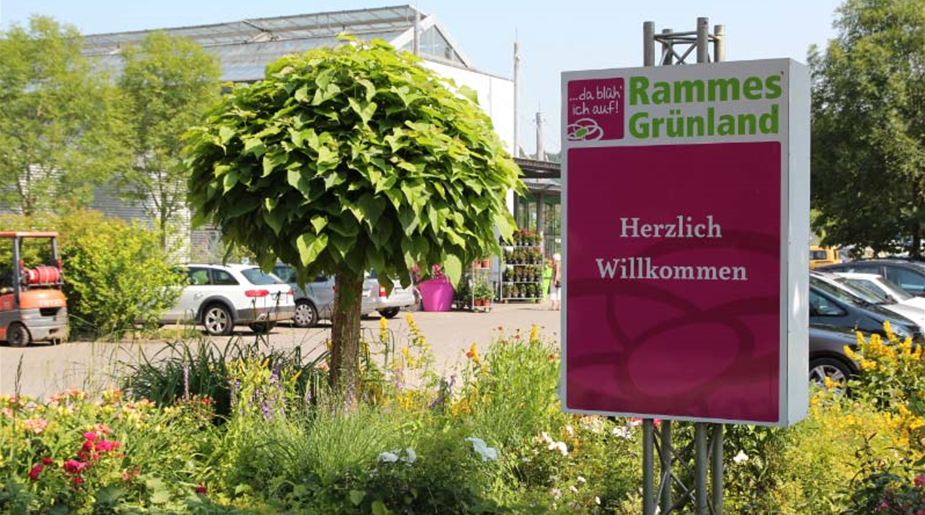 Rammes Grünland Gartencenter Heinrich Ramme Gmbh Fotos