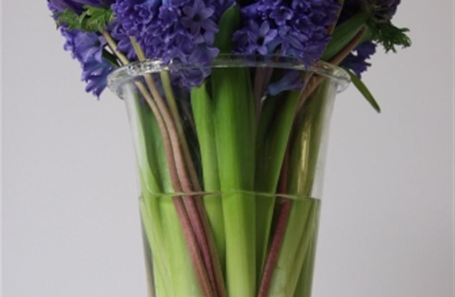 Was passiert eigentlich in der Blumenvase? Was passiert eigentlich in der Blumenvase?