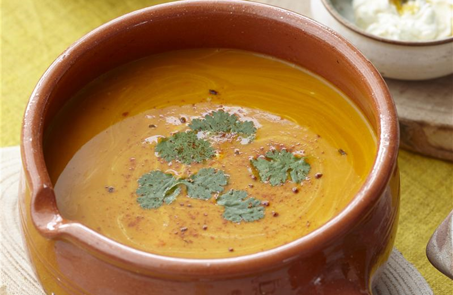 Kürbisernte Kürbisernte