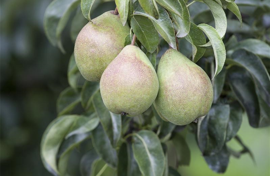Oktober – Jetzt gibt es noch mal viel zu tun! Oktober – Jetzt gibt es noch mal viel zu tun!