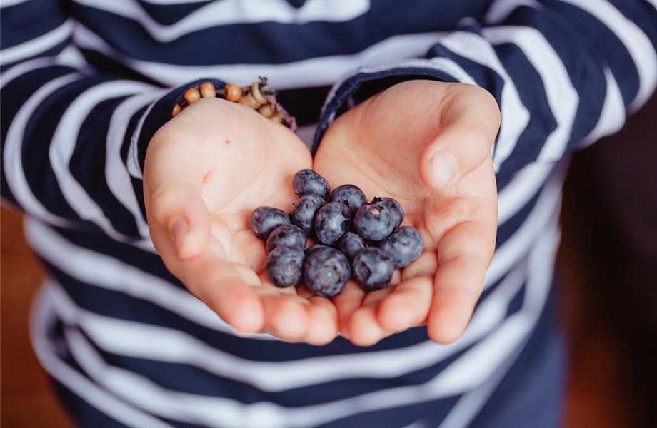 Jetzt kann geerntet werden!  Jetzt kann geerntet werden!
