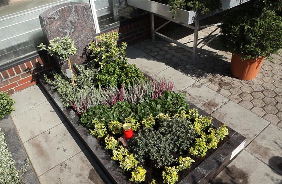 Sommerbepflanzung für das Grab Sommerbepflanzung für das Grab