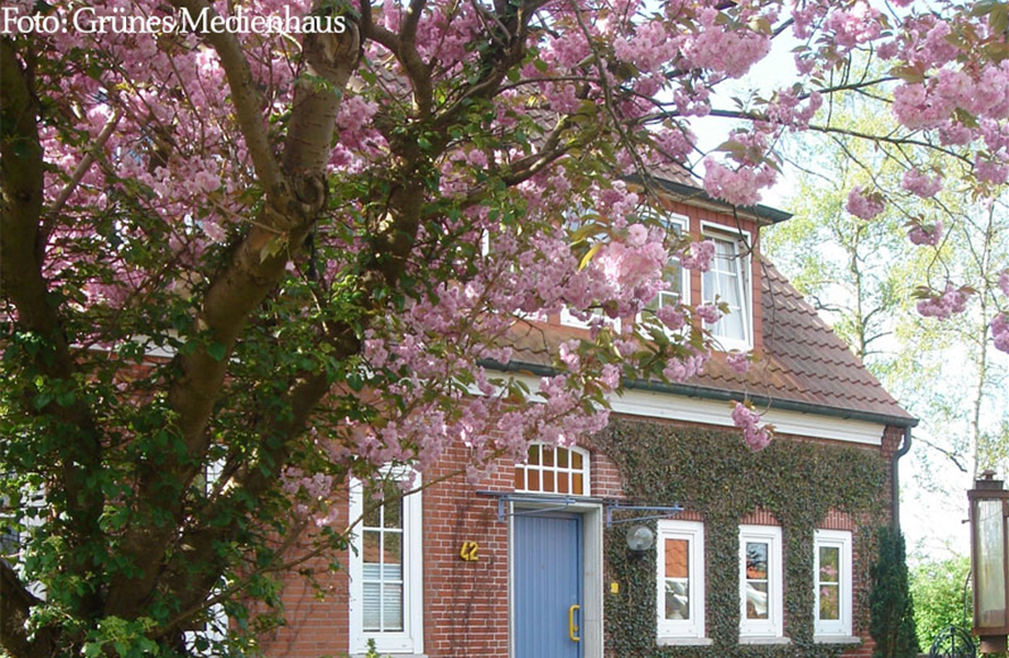 Zierkirschen - Des Frühlings schönste Seiten Zierkirschen - Des Frühlings schönste Seiten