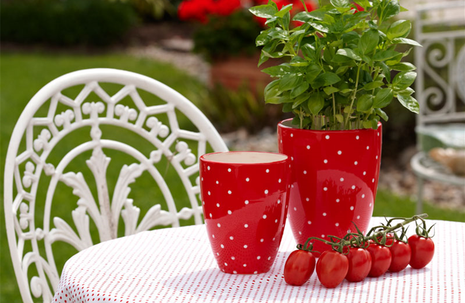 Tomaten? Aber klar! Tomaten? Aber klar!