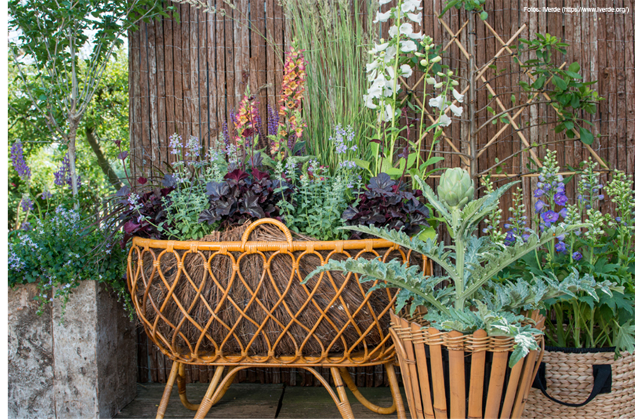 Nachhaltiger Wohntrend Nachhaltiger Wohntrend