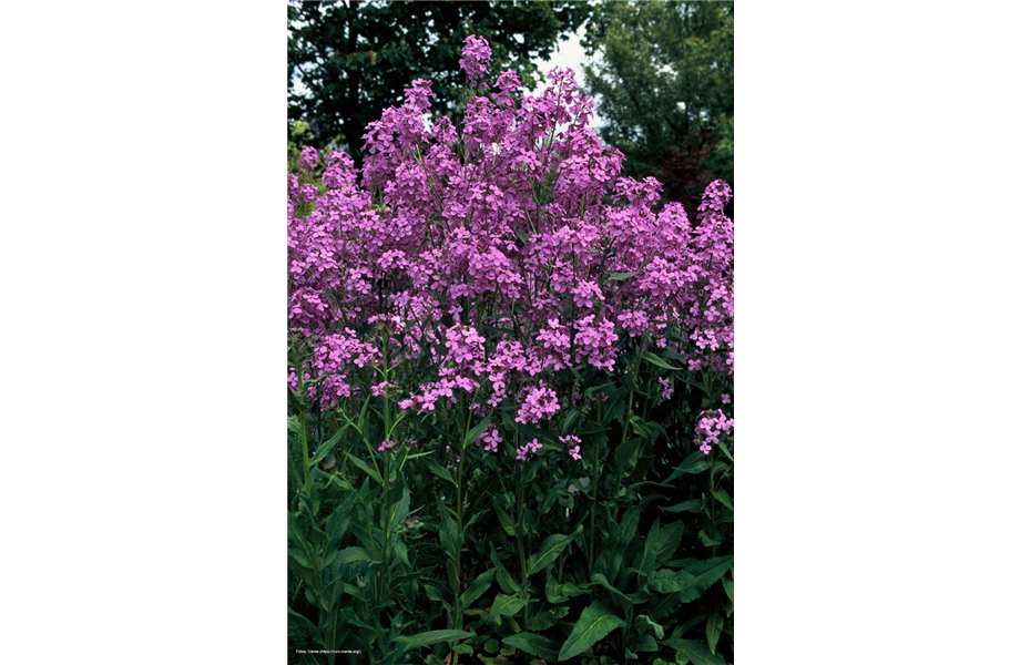 Nachhaltiger Wohntrend Nachhaltiger Wohntrend