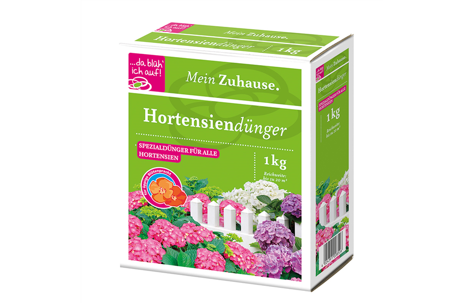 Hortensien: Imposante Schönheiten Hortensien: Imposante Schönheiten