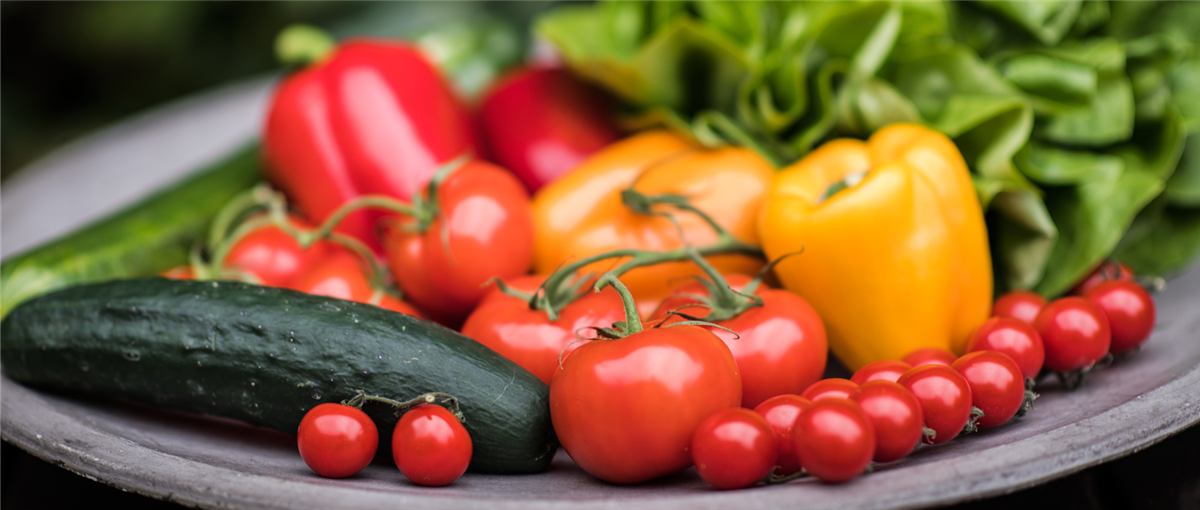 Gartentipps im Juli - Gartencenter Rammes Grünland