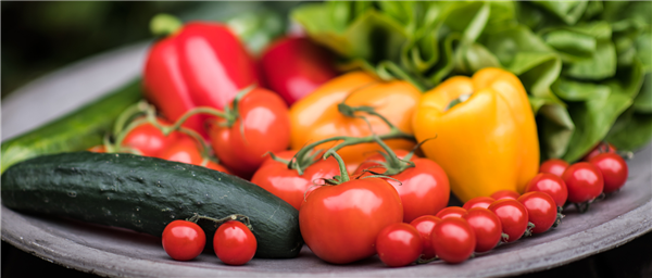 Gartentipps im Juli
