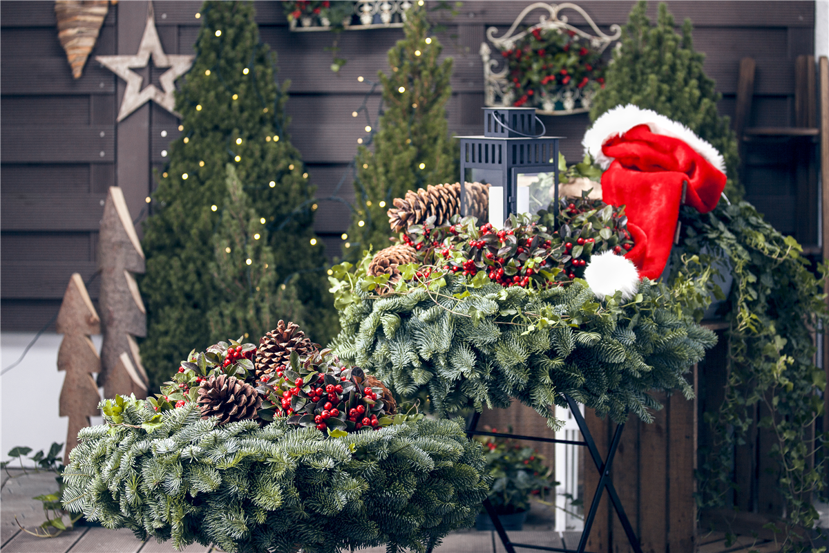 Gartentipps im November - Gartencenter Rammes Grünland
