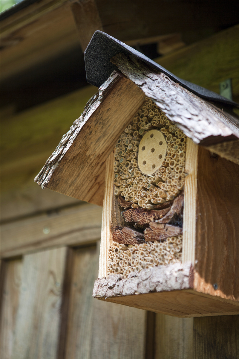 Ein Insektenhotel im Garten - Gartencenter Rammes Grünland