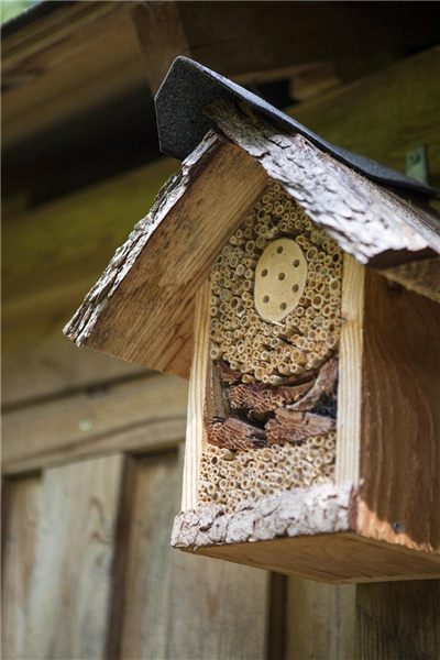 Ein Insektenhotel im Garten