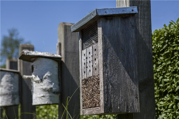 Bauen Sie ein Insektenhotel