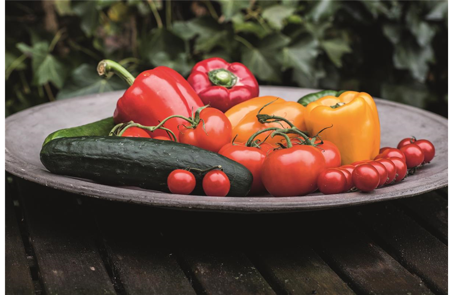 Mischkulturen: Wer passt zu wem?