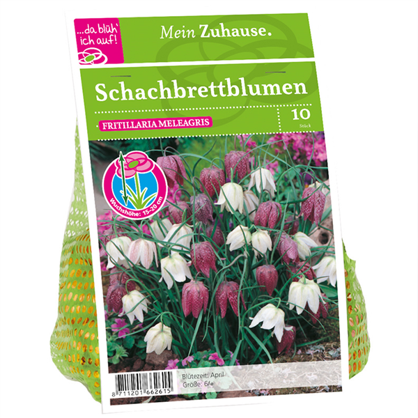 Pflanztipps für Frühblüher
