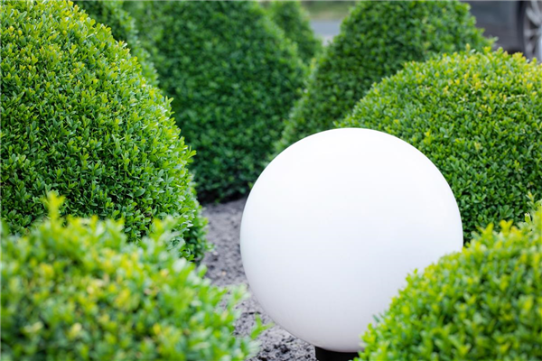 Spiele mit Farbe und Licht in Ihrem Garten