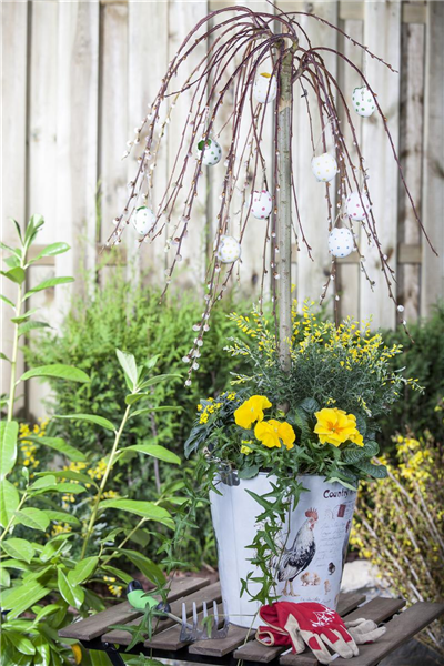Gartenpflanzen
