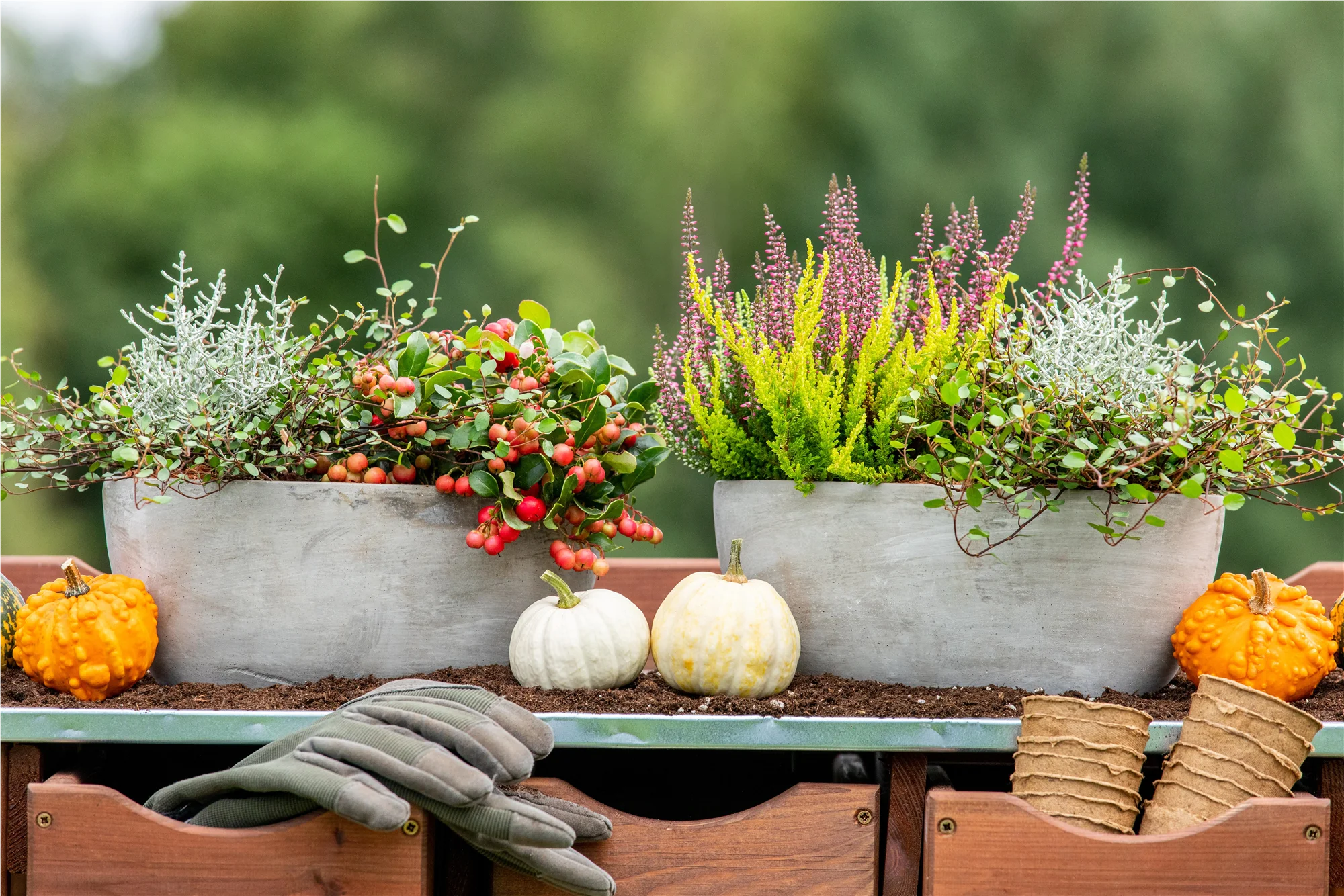 Herbstliche Farbspiele...